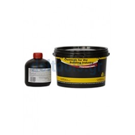 Epoxy Resin -51-Pool -B- 1kgr, Alchimica