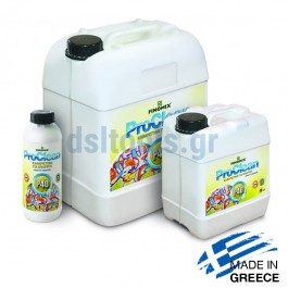Καθαριστικό 1Lt για Graffiti ProClean P40 Καθαριστικό 1Lt για Graffiti ProClean P40
